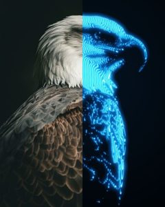 Khám phá cách tạo hiệu ứng glitch và visual interference trong Photoshop với hướng dẫn chi tiết từ Thang Design Academy. Đăng ký khóa học để trở thành chuyên gia thiết kế đồ họa.